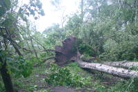 http://images.vfl.ru/ii/1496177213/c45779f0/17406538_s.jpg