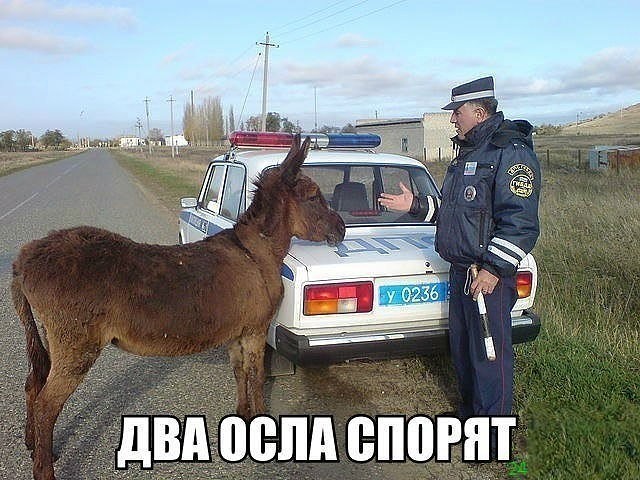 http://images.vfl.ru/ii/1507384630/afd39346/18901029.jpg