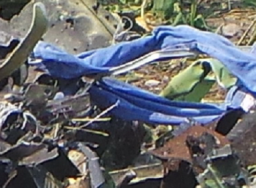 http://images.vfl.ru/ii/1406318436/b57a3318/5804778.png