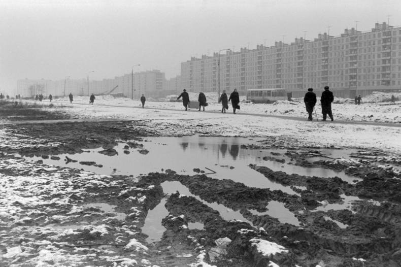 http://images.vfl.ru/ii/1547022839/f2ceab86/24874935_m.jpg