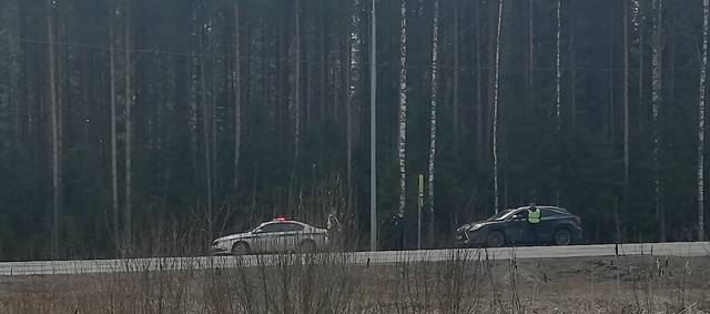 http://images.vfl.ru/ii/1588618441/7cf0c64d/30410518_m.jpg