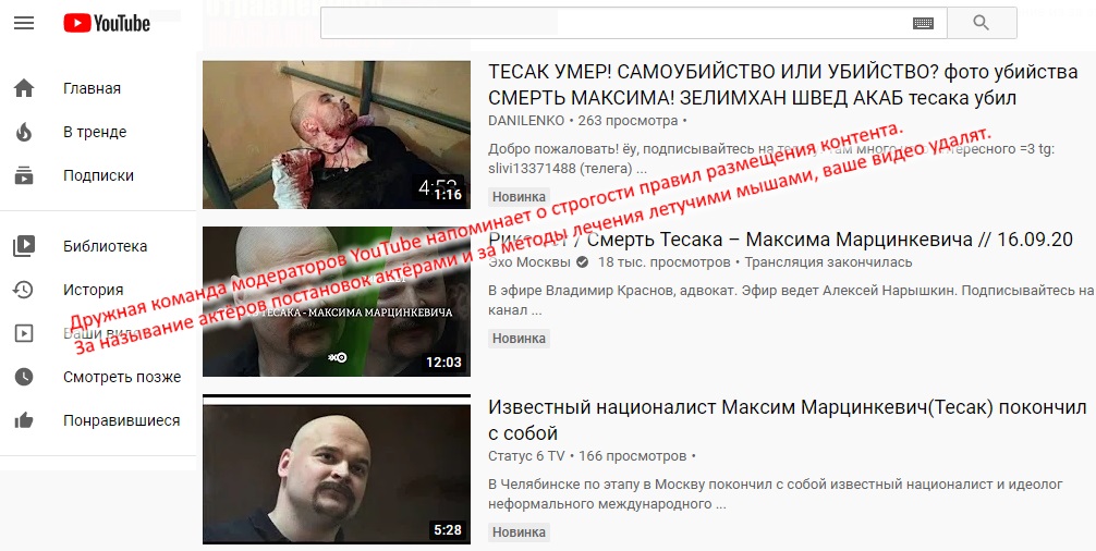 http://images.vfl.ru/ii/1600454597/e3117314/31672145.jpg