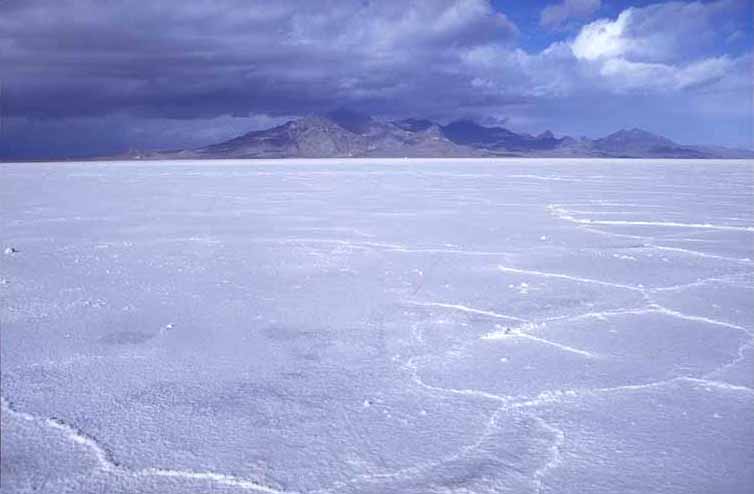 https://upload.wikimedia.org/wikipedia/commons/8/8b/Saltph26.jpg