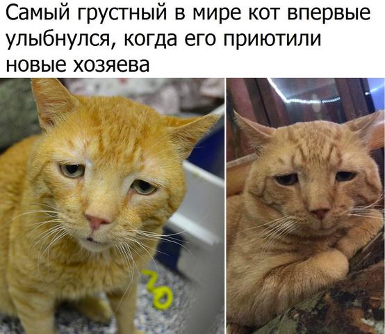 http://images.vfl.ru/ii/1509222033/eb77916b/19183999_m.jpg