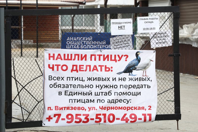 https://cdnstatic.rg.ru/resize800x533/uploads/photogallery/2025/01/12/3f9a9626jpg_f22.jpg
