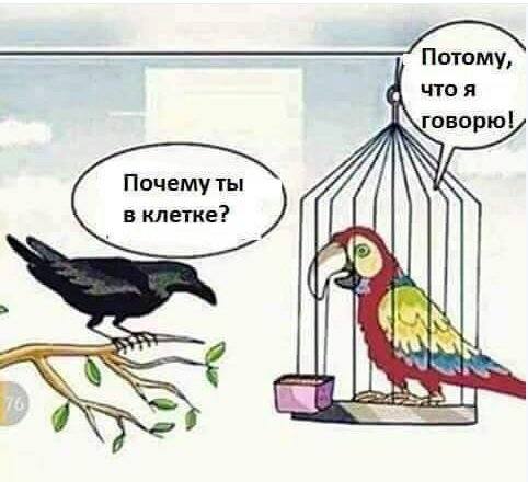 http://images.vfl.ru/ii/1534661932/7e22052a/22948160_m.jpg