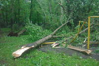 http://images.vfl.ru/ii/1496176701/4f082bf0/17406480_s.jpg
