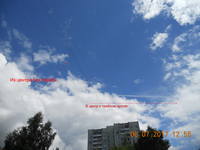 http://images.vfl.ru/ii/1499336850/1723d42c/17833843_s.jpg