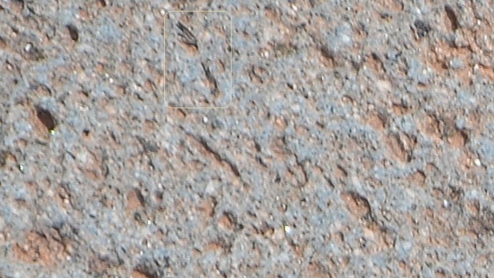 http://images.vfl.ru/ii/1513772685/0d5f8251/19861717.jpg