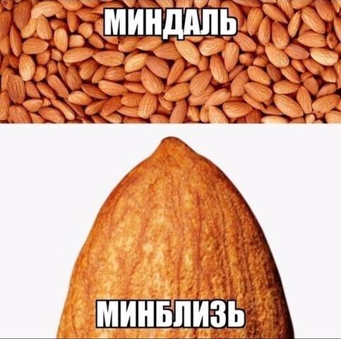 http://images.vfl.ru/ii/1566480665/5e1a1724/27621819_m.jpg