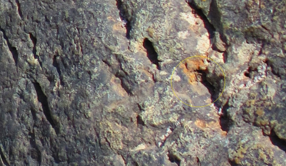 http://images.vfl.ru/ii/1509134289/5422267d/19172439.jpg