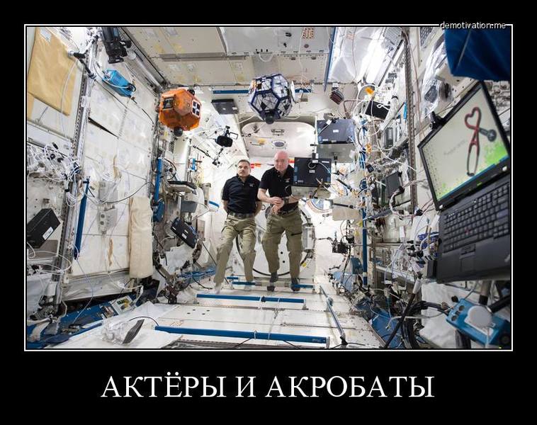 http://images.vfl.ru/ii/1499103578/f744208c/17802894.jpg