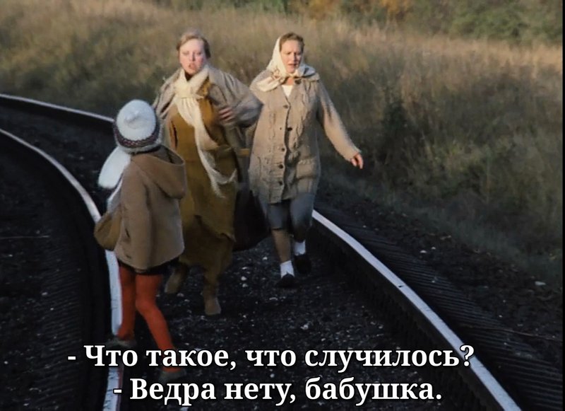 https://i.ibb.co/23TMvD4/IMG-20220818-111227.jpg