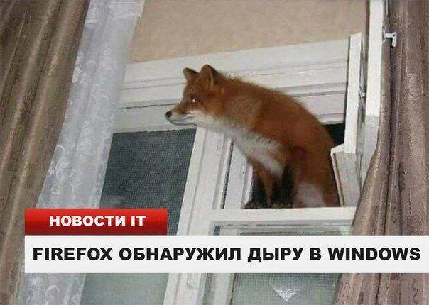 http://images.vfl.ru/ii/1507911892/fbb3a036/18988112_m.jpg