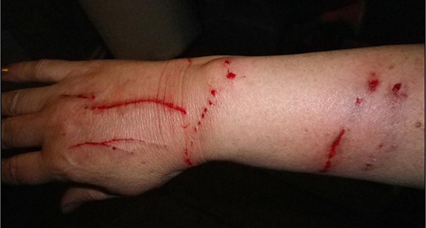 http://images.vfl.ru/ii/1503075122/a73d03b5/18293575.jpg