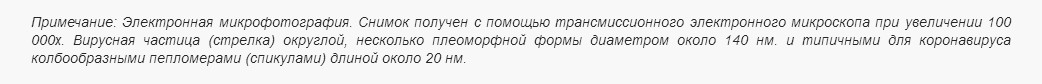http://images.vfl.ru/ii/1611903696/270383c2/33138446.jpg
