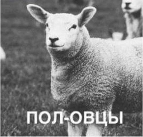 http://images.vfl.ru/ii/1587316734/c8fd4905/30268185_m.jpg