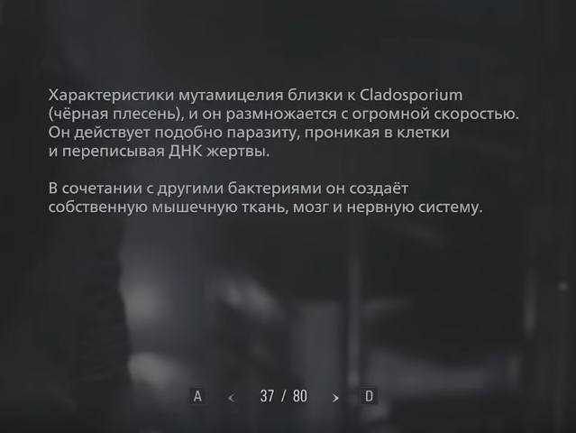 http://images.vfl.ru/ii/1625438455/0214b420/35049134_m.jpg