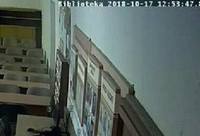 http://images.vfl.ru/ii/1552982889/a84425ba/25824436_s.jpg