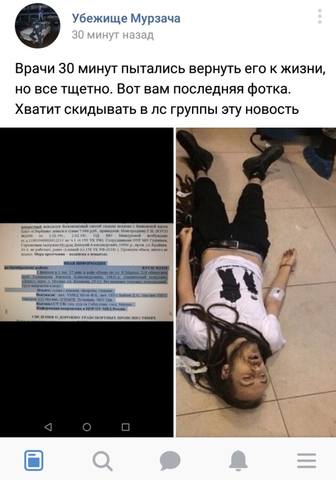 http://images.vfl.ru/ii/1549218195/983e96c4/25240490_m.jpg