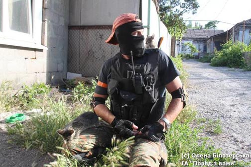 http://images.vfl.ru/ii/1403452792/e8ed9bc0/5502472.jpg