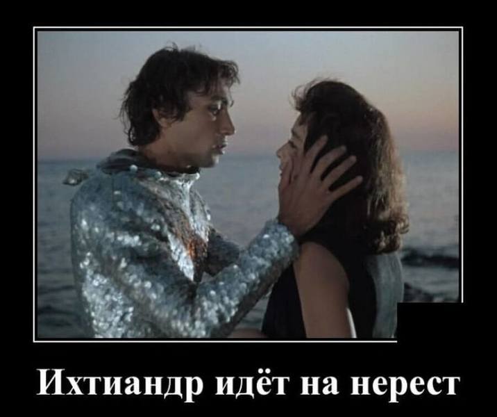http://images.vfl.ru/ii/1604780002/2e7315f0/32221056.jpg