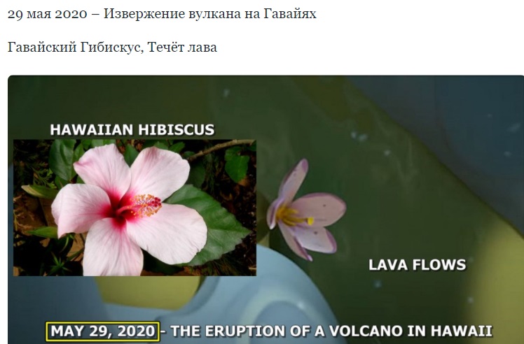 https://i.imgur.com/JWQqo4R.jpg