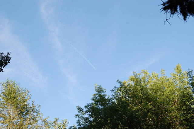 http://images.vfl.ru/ii/1518327878/280680dd/20537713_m.jpg