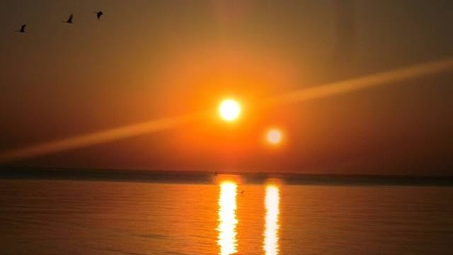 http://images.vfl.ru/ii/1558786747/9c826192/26655303.jpg