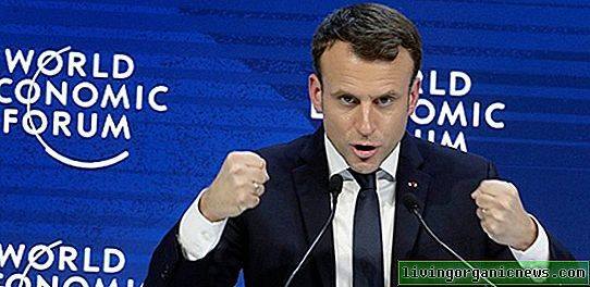http://images.vfl.ru/ii/1641411103/806af8dd/37409323_m.jpg