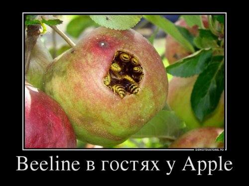 http://images.vfl.ru/ii/1502378360/b47cb4e0/18204790_m.jpg