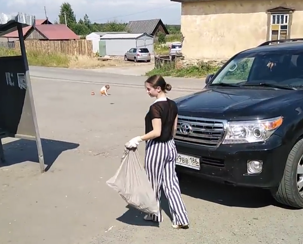 http://images.vfl.ru/ii/1595253480/e81ce86c/31121645_m.png