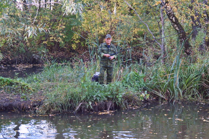http://images.vfl.ru/ii/1601998643/7b7127ef/31851031.jpg