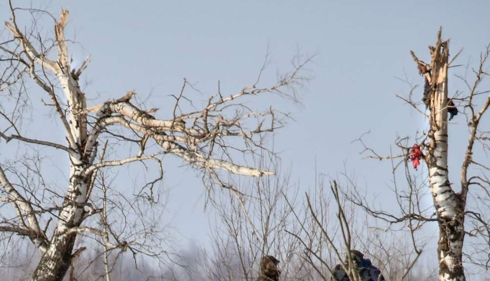 http://images.vfl.ru/ii/1518965879/46864da1/20638250.jpg