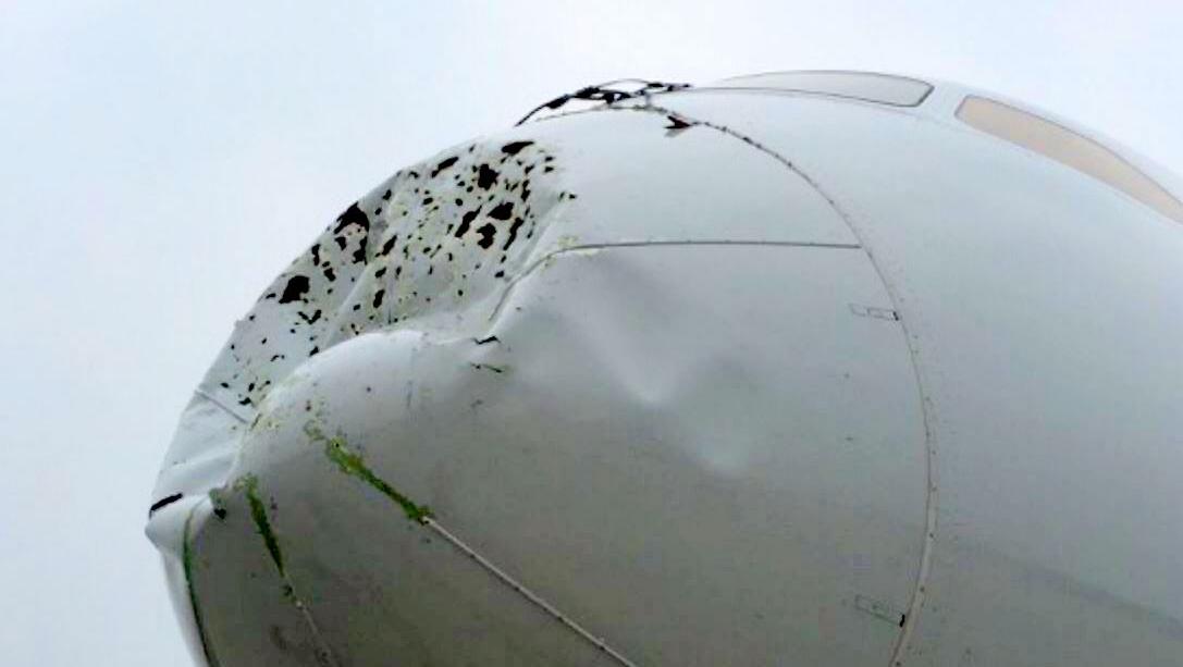 http://media.bizj.us/view/img/6645482/aa-dreamliner-damage*1200xx1087-613-0-83.jpg