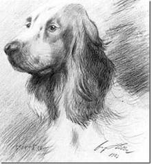 http://images.vfl.ru/ii/1524329945/6c472d76/21458860_m.jpg