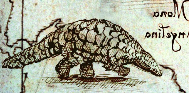 https://ic.pics.livejournal.com/protomarius/85925604/113895/113895_800.jpg