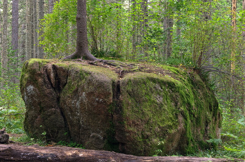 https://img-fotki.yandex.ru/get/9491/87848796.6aa/0_106a1c_1646c333_XL.jpg