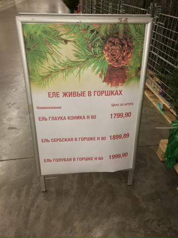 http://images.vfl.ru/ii/1514046726/a1eeec89/19894842_m.jpg