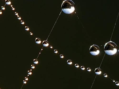 http://upravlenie.ucoz.ru/_fr/4/s6328113.jpg