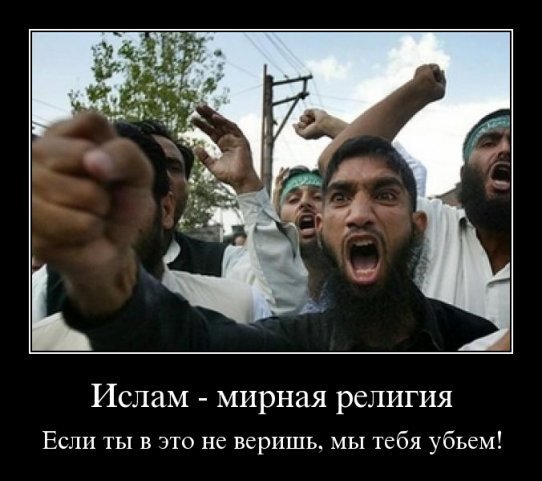 http://images.vfl.ru/ii/1501329586/923b54f0/18070547.jpg