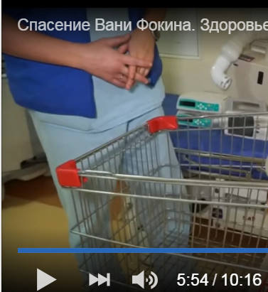 http://images.vfl.ru/ii/1549827801/1a961895/25338987_m.jpg