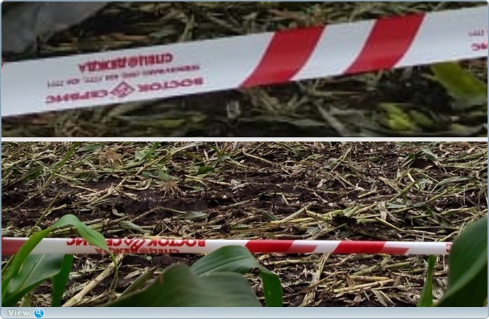 http://images.vfl.ru/ii/1566590344/06592744/27636683.jpg
