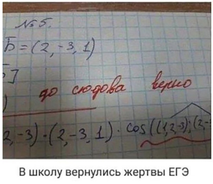 http://images.vfl.ru/ii/1549939377/a97e8820/25355471.jpg