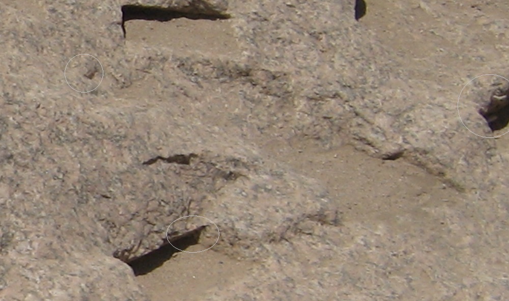 http://images.vfl.ru/ii/1514907491/31c6df95/19993932.jpg