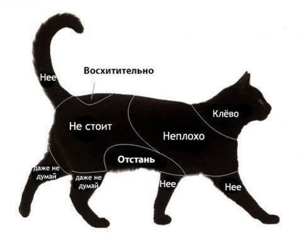 http://images.vfl.ru/ii/1509567224/fea4810e/19240996_m.jpg
