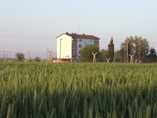 http://images.vfl.ru/ii/1413147631/b1448b7d/6625012.png