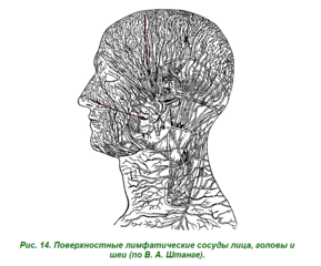 http://images.vfl.ru/ii/1627388092/2278953b/35297847_m.png
