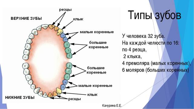 http://images.vfl.ru/ii/1620686181/ed3c5fab/34403313_m.jpg