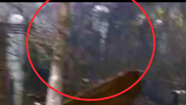 http://images.vfl.ru/ii/1399980295/3ee27825/5120153.png